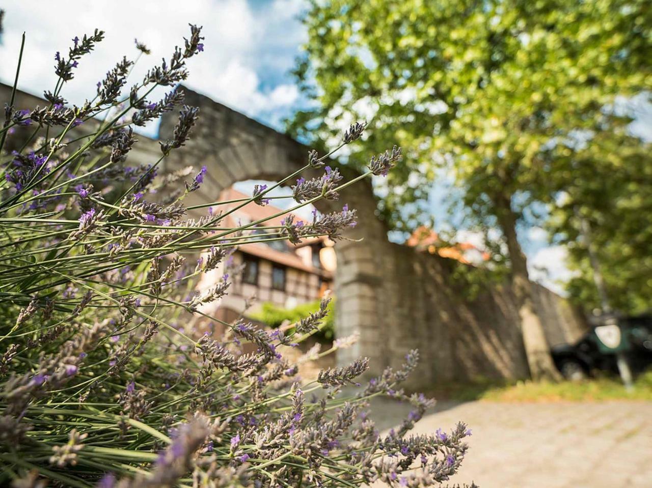 Gaestehaus Moenchshof Sommerhausen Esterno foto